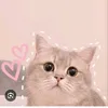 sunny_cutii_day