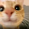 benrocket29