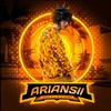 ariansll_metro