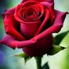 user3500516319255
