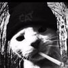 real_trull_hunter