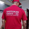 karateshotokan8
