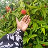 pretty_farjana_8622