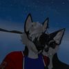 bloodwolf1123