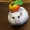 lovchk