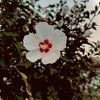 maddie_s1021