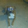 thiago123456737