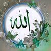 azimkhann86
