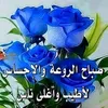 1865amajeed766