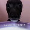 emilianomartinez563