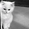 duyungg_27