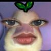 ana_sadd03