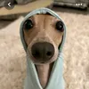 _louis.minhtri