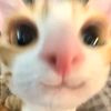 eirene_grace10