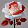 user699840160