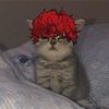 maradymong5