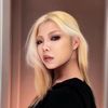 Beauty makeup