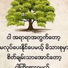 ever.samai7