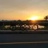 minh0292838