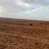 amirziko233