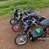 viingao81