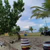aayaangg2323