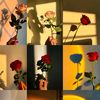 hasanchowdhury326
