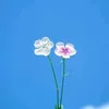 user2046918655167