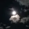 noeliapintos54