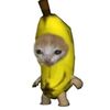 adila.hamed