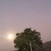 m_ile_na0088