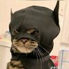 not_.meuno23