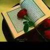 user7704155517735