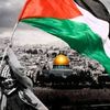 shademohamed53