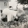 lorivan_22