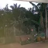 adegmarribeiro