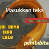 iin.hunaepi_