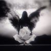 brightmoonbh7