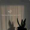 wishfa6