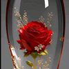 tania.54_