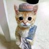 xyy_irfan
