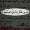 lotfihamada4