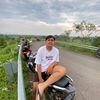 palisss
