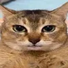 hi10109383