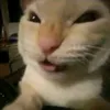 felipextg07