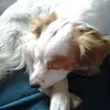 robertamotti7