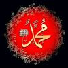 muhammadsaleemsal53