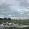bagimuitu11