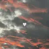 mari.stbxt