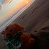 elias_p_z16